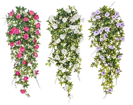 Вьюн (ипомея) тёмно-розовый 90 см (309 листов, 24 ...