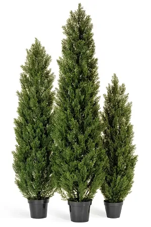 Туя Эйр Элеганс уличная 10.0215054/4N