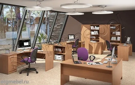 Шкаф с глухими дверьми СТ-1.9