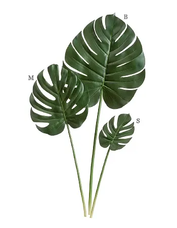 Лист Монстеры Биг 30.0618230L