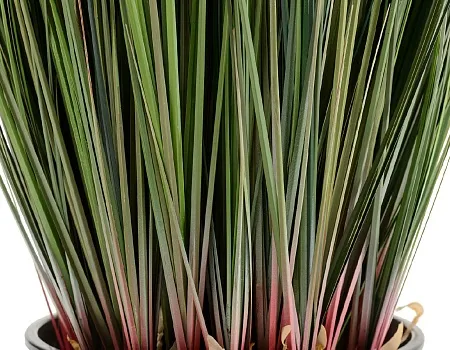 Трава Осока куст в-90 см 2/2 20.1040NX