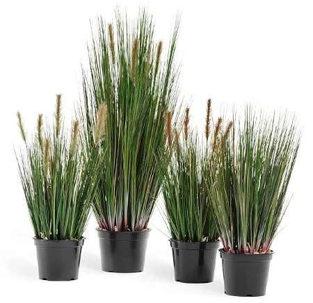 Трава Осока Элеганс куст в-120 см д-25 см с зелёны...