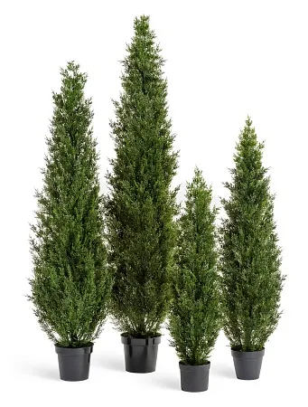 Туя уличная Смарагд Элегант 10.0218058/6N