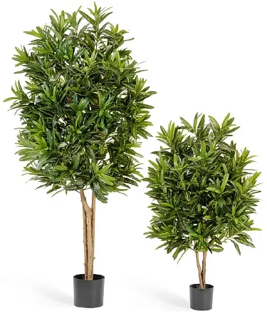 Кротон Голдфингер 10.37405N