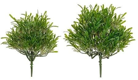 Трава Розмари Фэт куст (2 размера) 20.0219067GPN