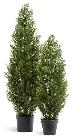 Туя Эйр Элеганс уличная 10.0215054/6N