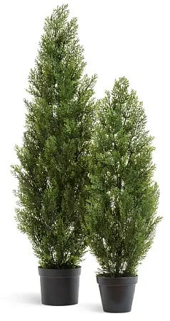 Туя Эйр Элеганс уличная 10.0215054/7N