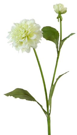 Георгин бело-зеленый 30.03070033/4