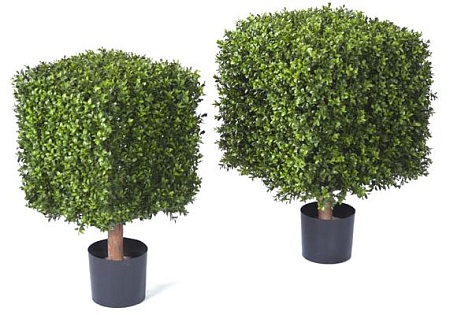 Самшит квадрат уличный на каркасе 10.44702N