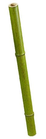 Бамбук стебель полый св. зеленый толстый 30.061106...