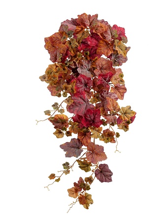 Виноградный куст Velvety желто-красный микс 20.021...