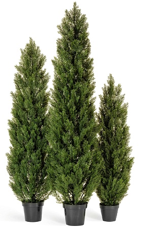 Туя Эйр Элеганс уличная 10.0215054/6N