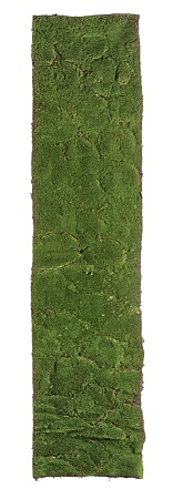 Мох в рулоне 30.0312011