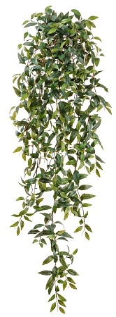 Традесканция зеленая ампельная 20.1129N