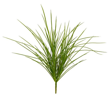 Трава Оньон куст малый 20.091403N