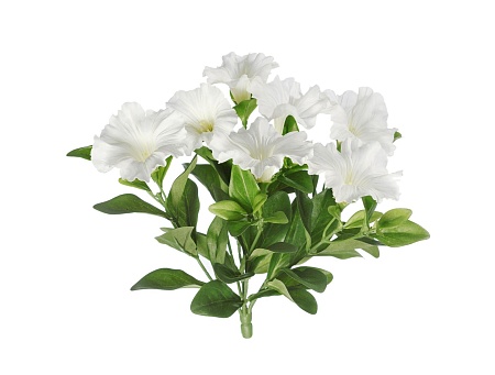 Петуния куст белый 20.1086W