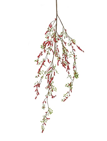 Красные ягоды на ветке 30.0110003