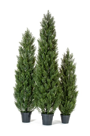 Туя Эйр Элеганс уличная 10.0215054/5N