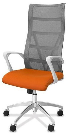 Кресло для руководителя Top-x-w