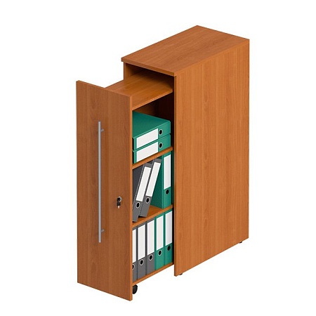 Стеллаж вертикальный с замком, левый  ФР 338