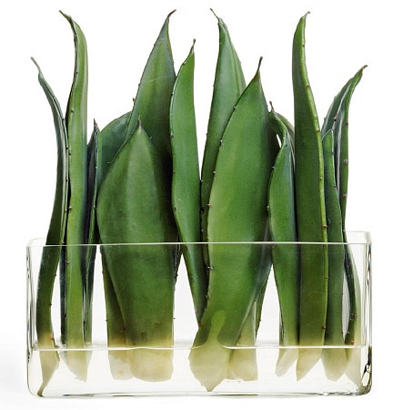 Композиция Листы Алоэ в стекле с водой 30.03070027