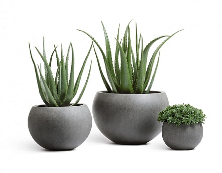 Кашпо TREEZ Effectory Beton Полусфера Тёмно-серый бетон д-32 см, в-23 см