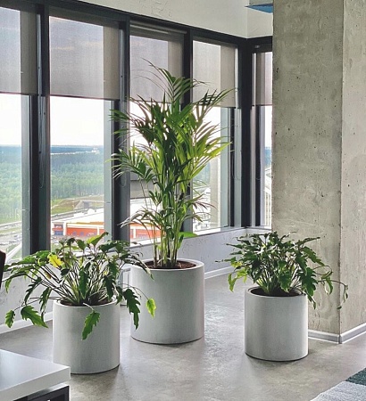 Кашпо TREEZ Effectory Beton Цилиндр Серый ледник в-31 см, д-31 см