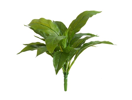 Спацифилум-мини куст зелёный (Sensitive Botanic) 2...