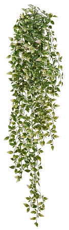 Традесканция зелёная с розовым ампельная (пластик)...