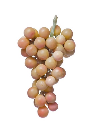 Виноград крупный круглый зелено-розовый 30.0307004...