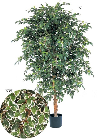 Фикус Фолиа зеленый  10.33204N