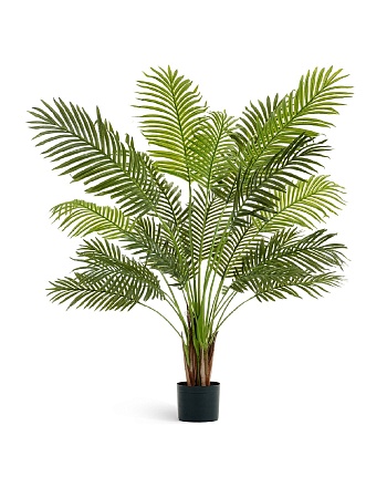 Искусственная Пальма Арека Литл 10.11924N