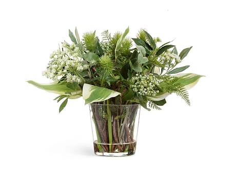 Green Lifestyle в стеклянной вазе с во...