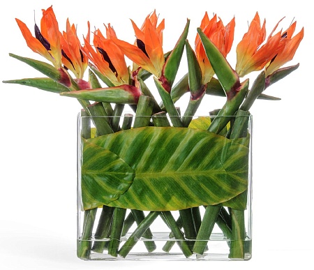 Композиция Стрелиции в Листах в стекле с водой 30...