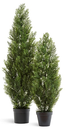 Туя Эйр Элеганс уличная 10.0215054/3N