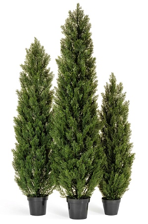 Туя Эйр Элеганс уличная 10.0215054/4N