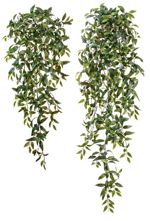 Традесканция зеленая ампельная 20.1128N