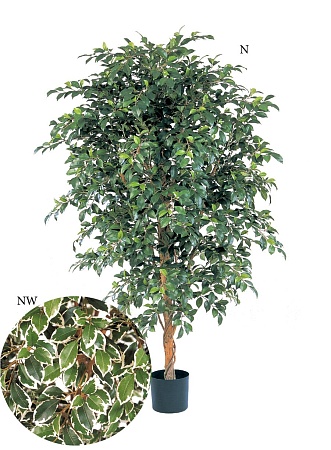 Фикус Фолиа зеленый  10.33205N