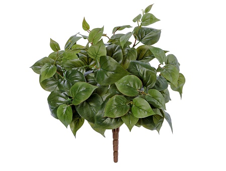 Тини Филодендрон 20.1065N