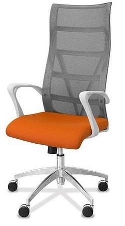 Кресло для руководителя Top-x-w