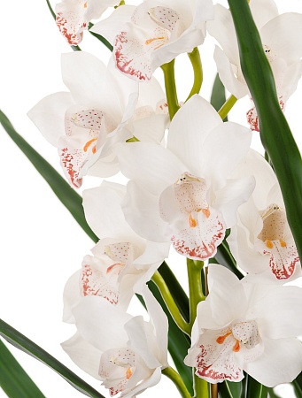 Орхидея Цимбидиум куст белый 3 ветки с имитацией з...