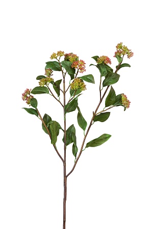 Ветвь Калликарпы зелено-бордовая 30.0613117