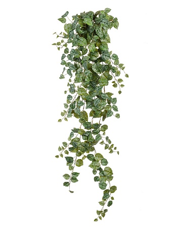 Сциндапсус Пиксус серебристо-зелёный 20.05190263GG...