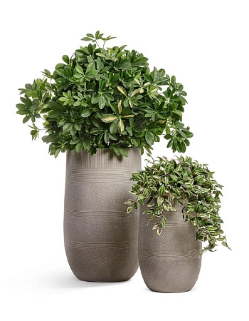 Кашпо TREEZ ERGO Graphics Высокая округлая чаша Капучино в-75 см, д-47 см