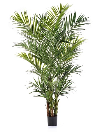 Искусственная Пальма Кентия (Ховея) де Люкс 260 см...