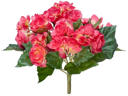 Бегония куст бордово-жёлтый в-15 см 12/72 20.1087B