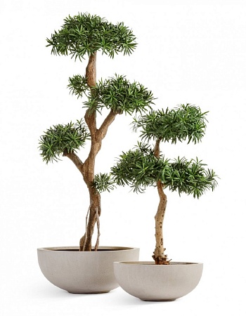 Кашпо TREEZ Effectory Beton Низкая сферическая чаша Белый песок д-74 см, в-31 см