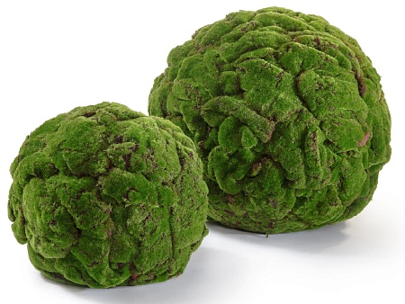 Шар из мха  (Арт-объект) 10.0313050