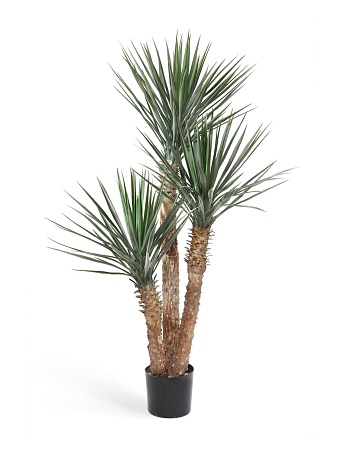 Юкка Рострата 3 ствола  10.48005PL