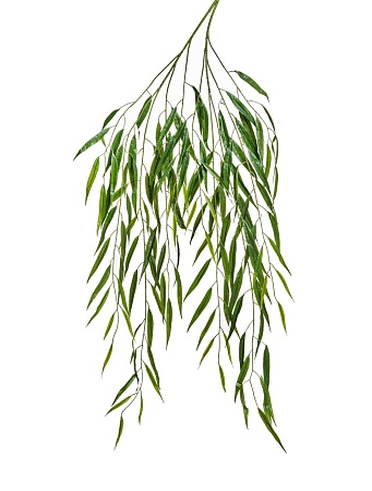 Ветвь Ивы 20.1240XL